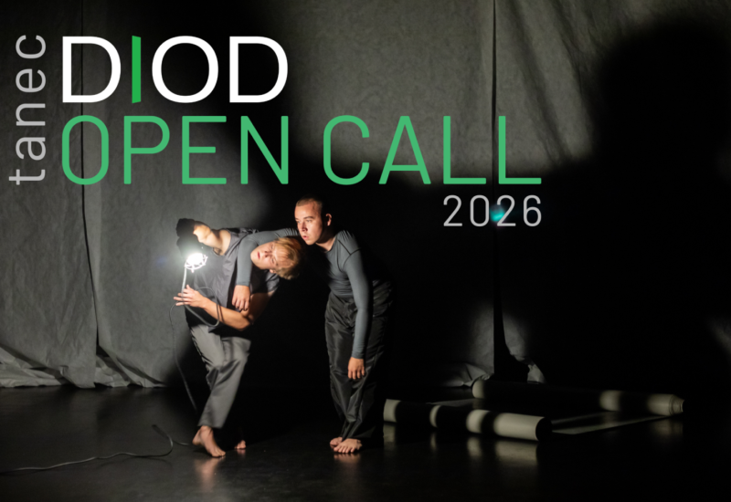 DIOD OPEN CALL 2026